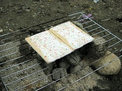 pop tarts