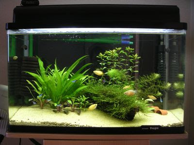 Aquaはーと 水草育成専用蛍光灯取り付け記
