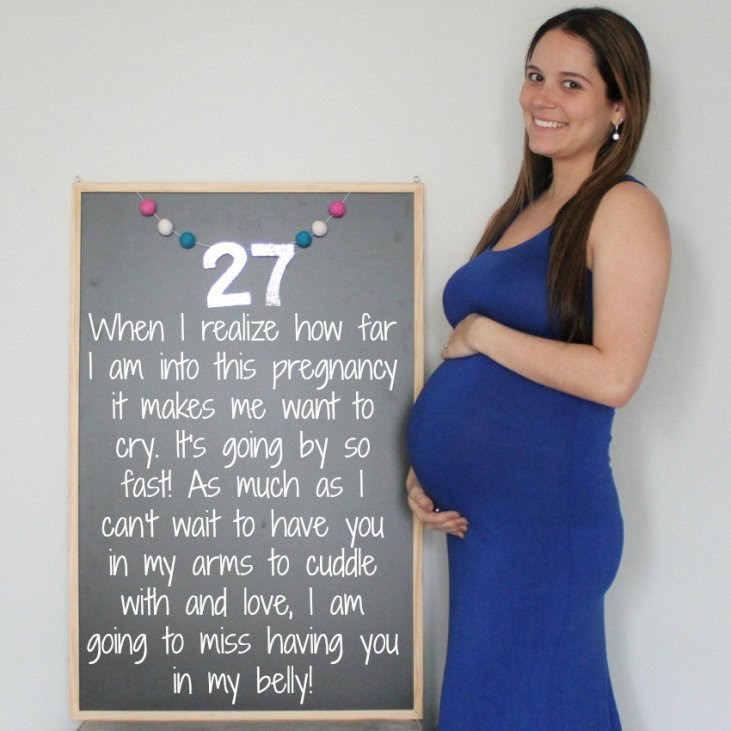 Week 27 Baby 2 Laura Co Blog