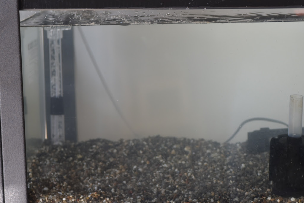 底面フィルター水槽セット めだか屋悠遊