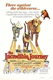 The Incredible Journey online filmek teljes film 4k magyarul 1963