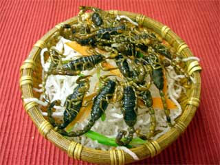 珍しい料理