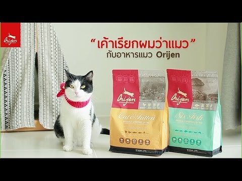 VIDEO : review อาหารแมว orijen กับ รางวัลชนะเลิศอาหารที่มีความเหมาะสมด้านชีวภาพ - รีวิว orijen cat food -รีวิว orijen cat food -อาหารแมวที่ได้รับรางวัลยอดเยี่ยมแห่งปี 2009-2012 และ 2015-2016. ...