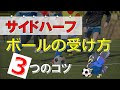 サイド ハーフ サッカー 317371