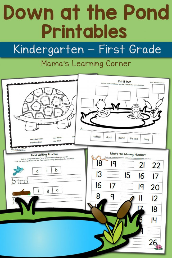Pond Worksheets for Kindergarten and First Grade - Updated for 2016 ...