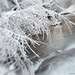 Plitvice