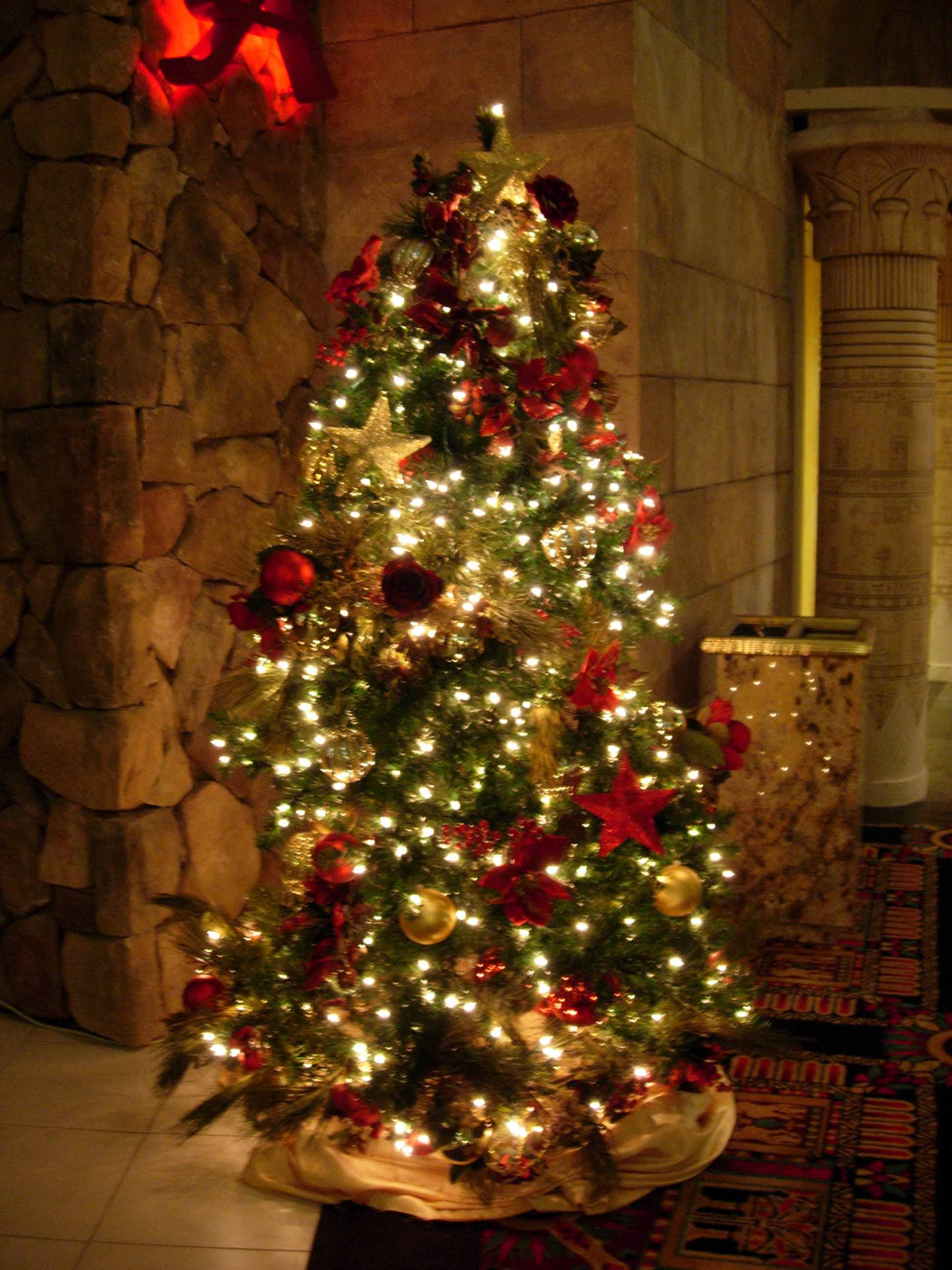 Christmas Tree Pics 01