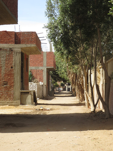 EgyptContryside-9