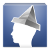 Tinfoil