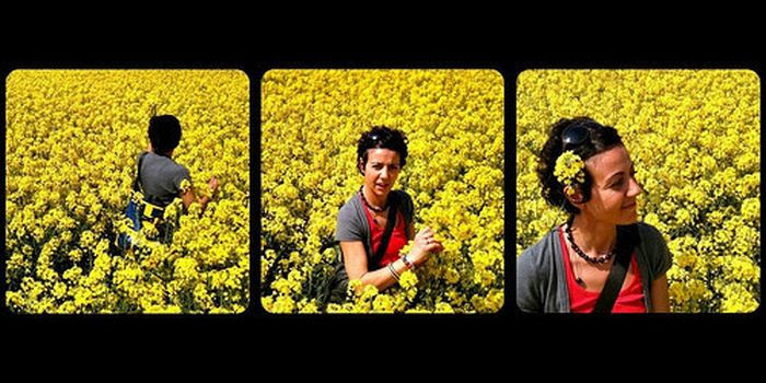 Beautiful Photos Taken with Camera Phones (35 pics)