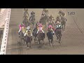 √1000以上 東京ダービー 2019 予想 329999