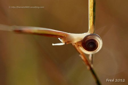 IMG_5459-signée