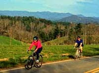 Bicyclist on Blue Ridge Parkway Killed by Deer