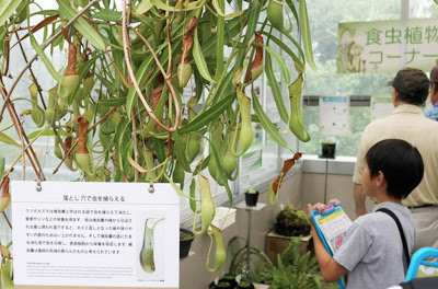 つくばちびっ子博士17 筑波実験植物園 で探検しよう 子どもを育む街 つくばスタイルblog