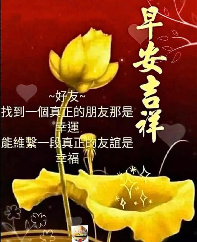 相识是天意 相知靠情谊 友情常相聚 缘分要珍惜 早安 路就