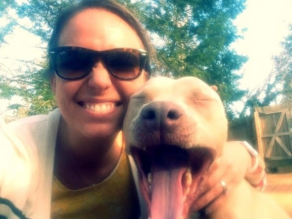 5.18.16 - This Is What I've Learned While Fostering Pit Bulls3