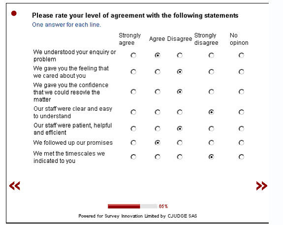 Online survey questionnaire design, way to make extra money at home 