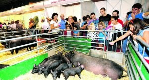 Sepor abre al público en busca de mercados para los productos porcinos