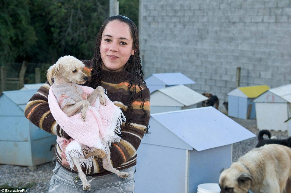 On the mend: The dogs are treated for their injuries and fed - the shelter gets through 12 tons of food every month