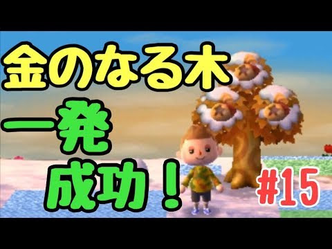 とび 森 お金 裏 ワザ