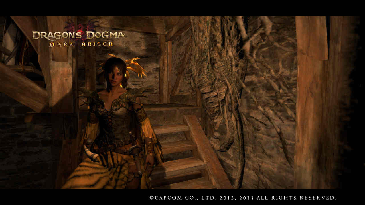 Official Dragon S Dogma Pawn Sharing Club Pawn List