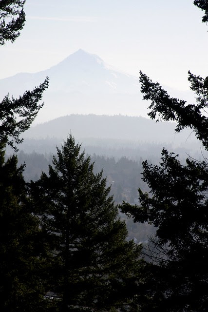 mt. hood from mt. tabor