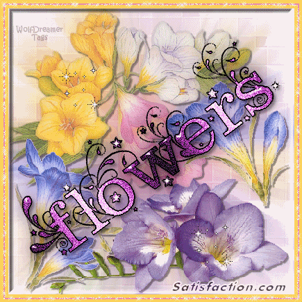 Flowers and Roses MySpace Comments and Graphics