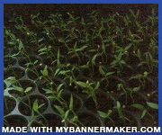 Create your own banner at mybannermaker.com!