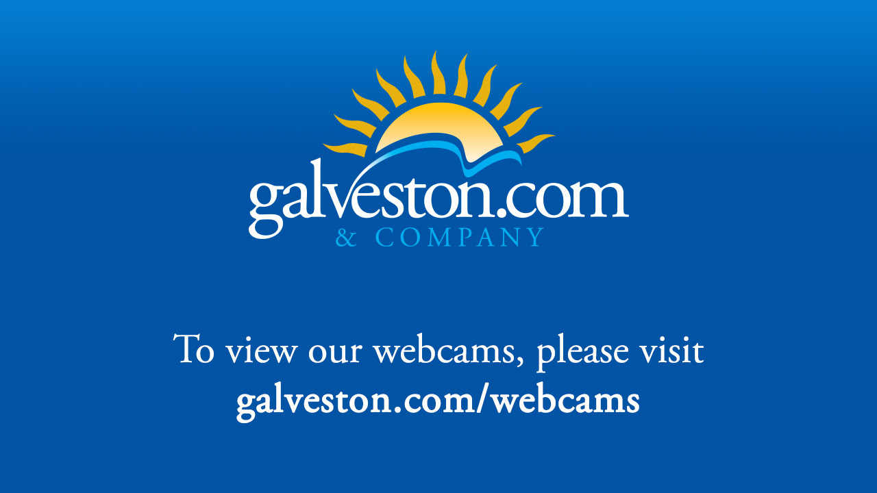 Galveston Gulf