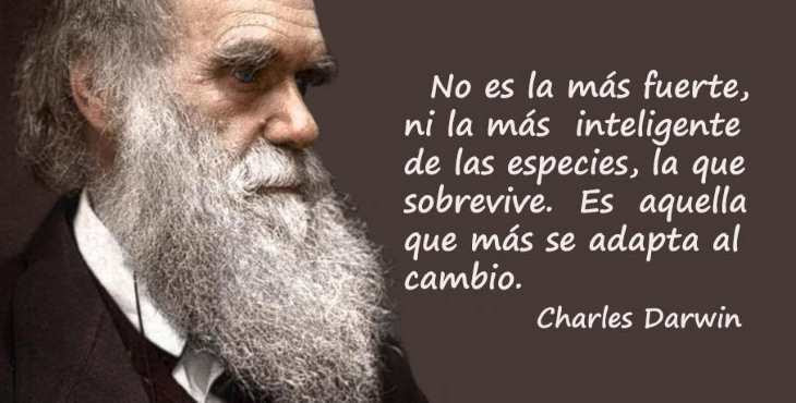 Solo sobreviven los que se adaptan al cambio. Aprende a