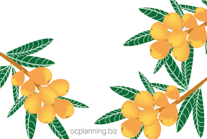 イラストや写真画像のフリー素材集 By Oc Planning