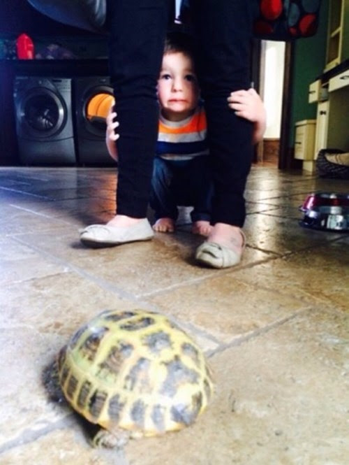 They're Both a Little Shy