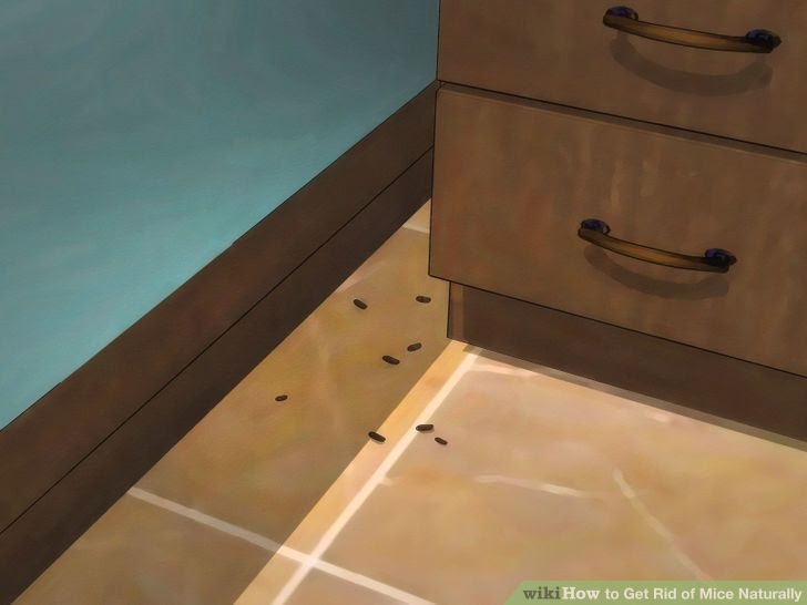 Get Rid of Mice Naturally Step 1 Version 3.jpg