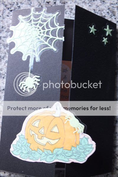  photo m_DSCF9618_1.jpg