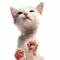 cat licking animation small Pictures, Images and Photos