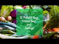 Youtube Corned Beef And Cabbage Recipe