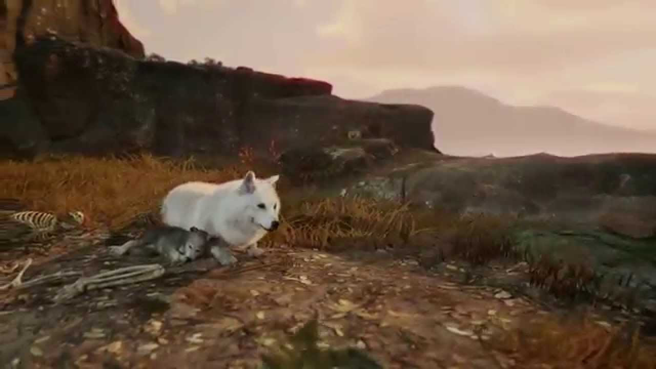WiLD on PS4 EXCLUSIVE  #PlayStationGC - YouTube