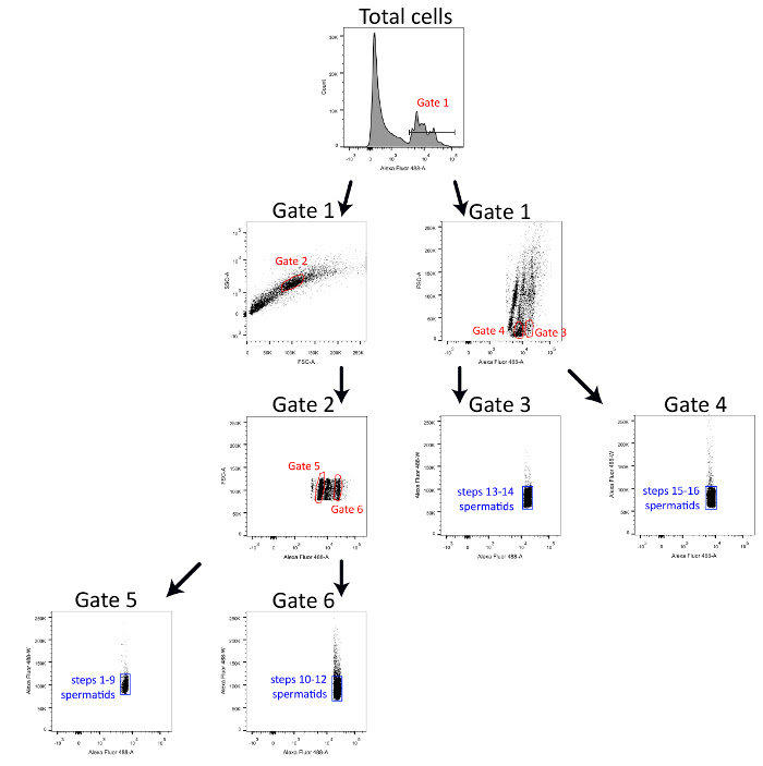 Figure 1 53379fig1.jpg