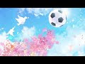 √100以上 高校 女子 サッカー 主題 歌 271024-小学校 サ���カー 授業 高学年