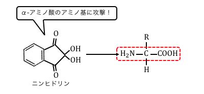 アミノ酸の性質 検出反応まとめ 高校化学 受験メモ