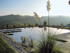 Natural Swimming Pools