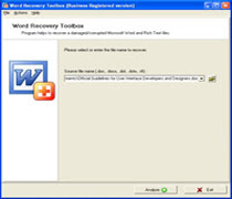 First page of Word Recovery Toolbox