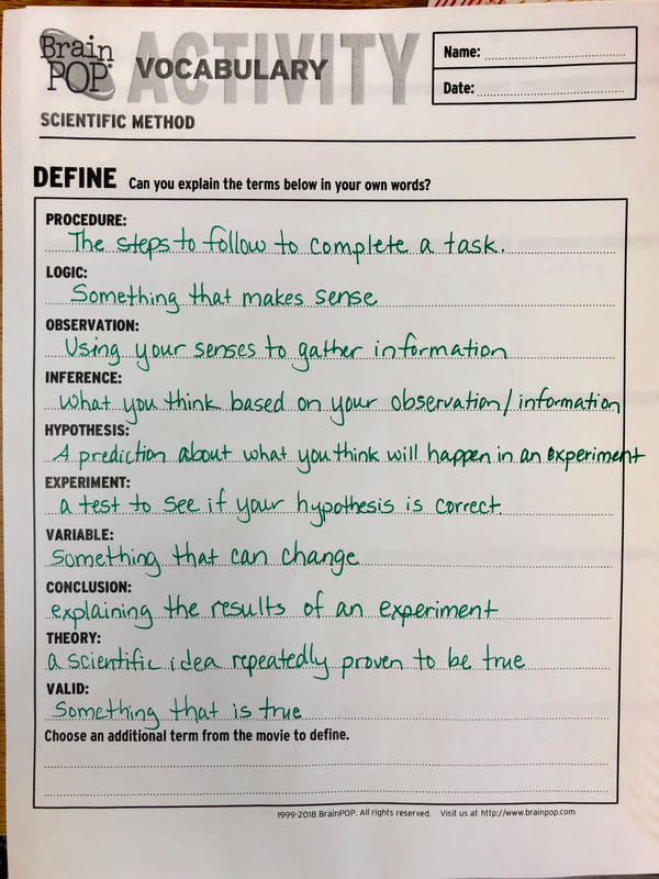 Thursday in Science - NEWTON/ARBOUR TEAM