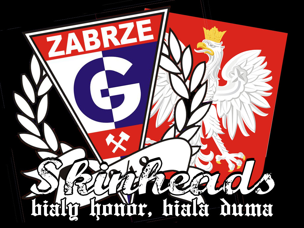 Gornik Zabrze On Line Serwis Nieoficjalny