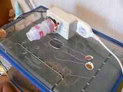 自動えさやり機 Diy 自作 日記 雑記 ガラクタだけが人生だ