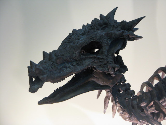 Dracorex skull