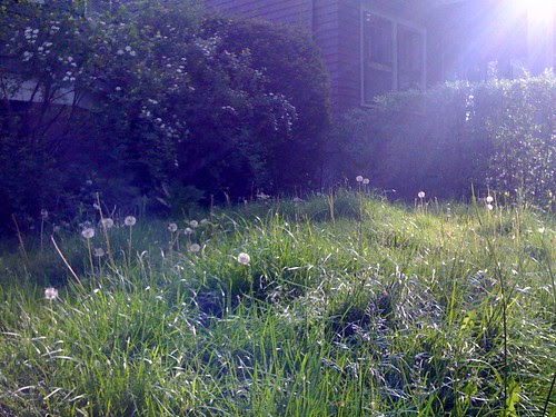 Magic morning