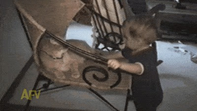 gif, прикол
