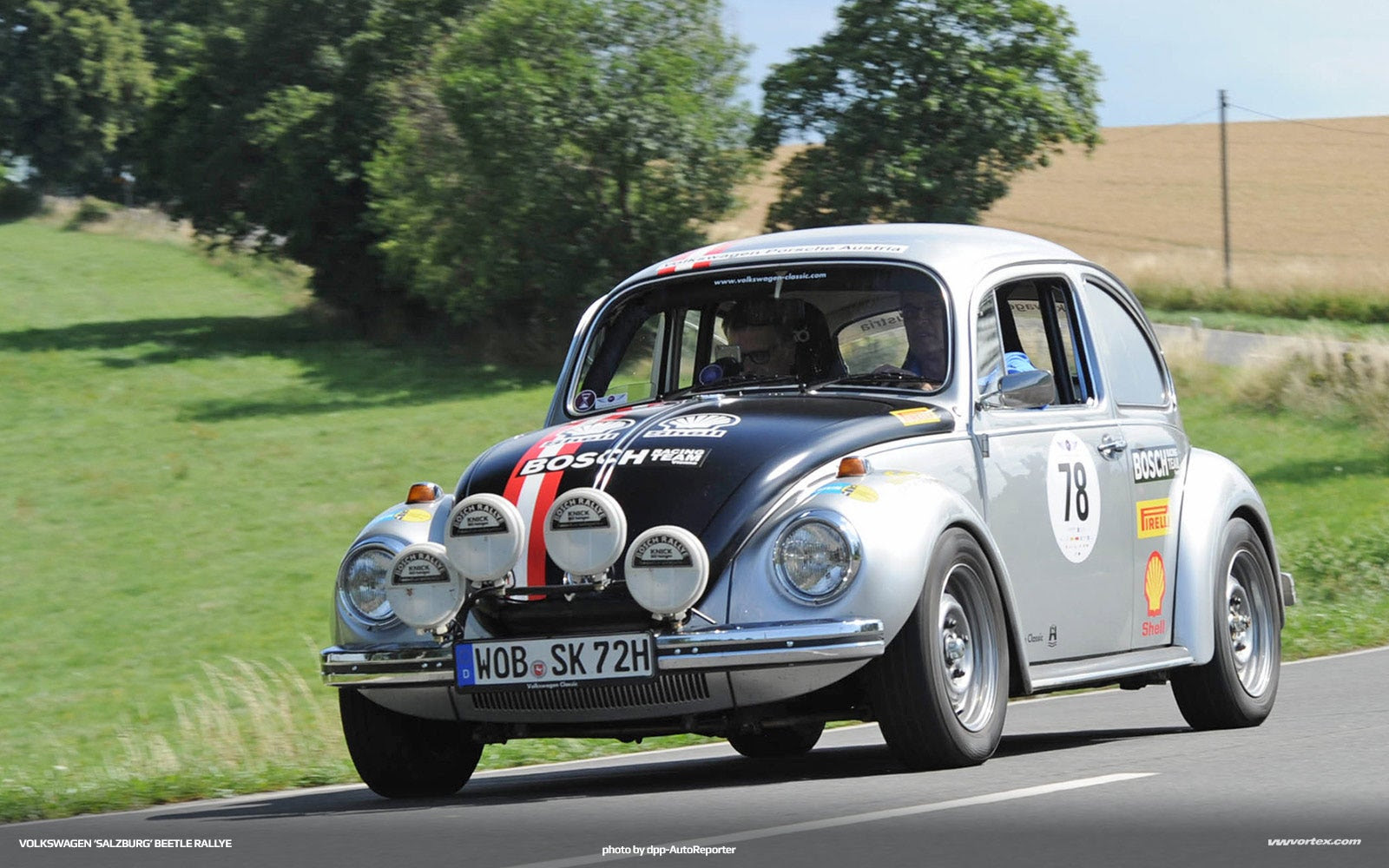 salzburg-beetle