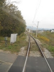 DSCN3306